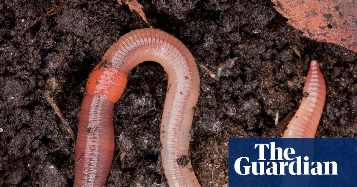 Darwin's Earthworms Still Turn the Soil at Down House