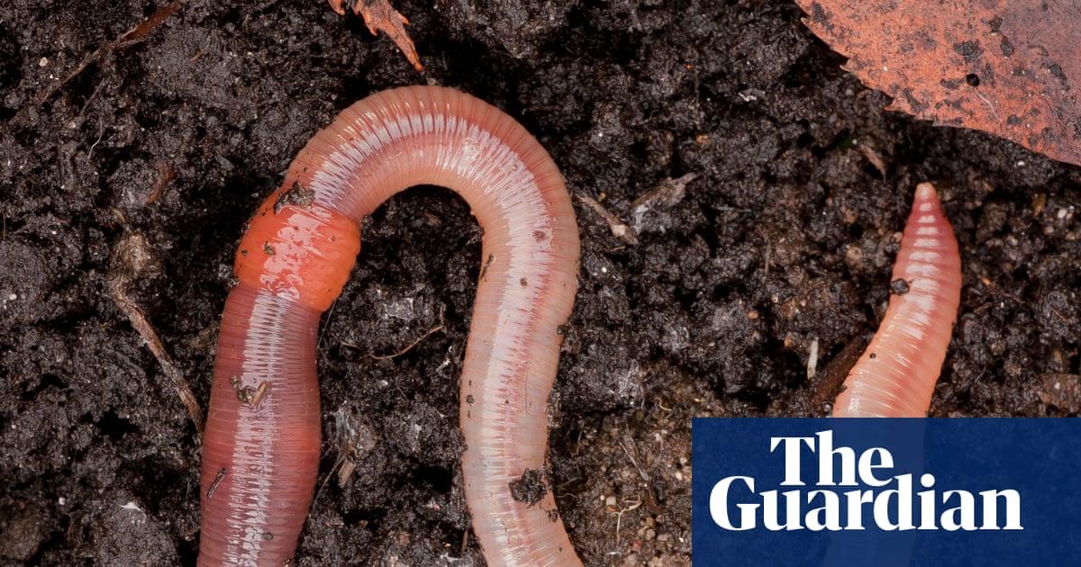 ‘The eww holds power’: why disgust shapes how we see nature, queerness and each other