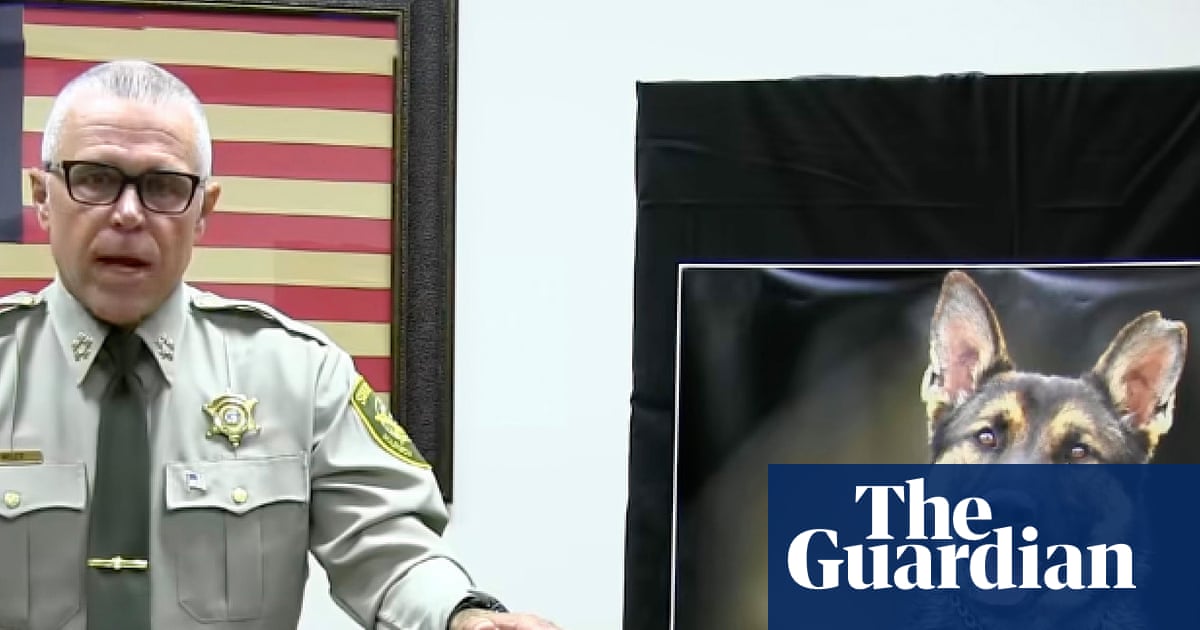 Death of Tenessee sheriff’s office canine leads to criminal investigation