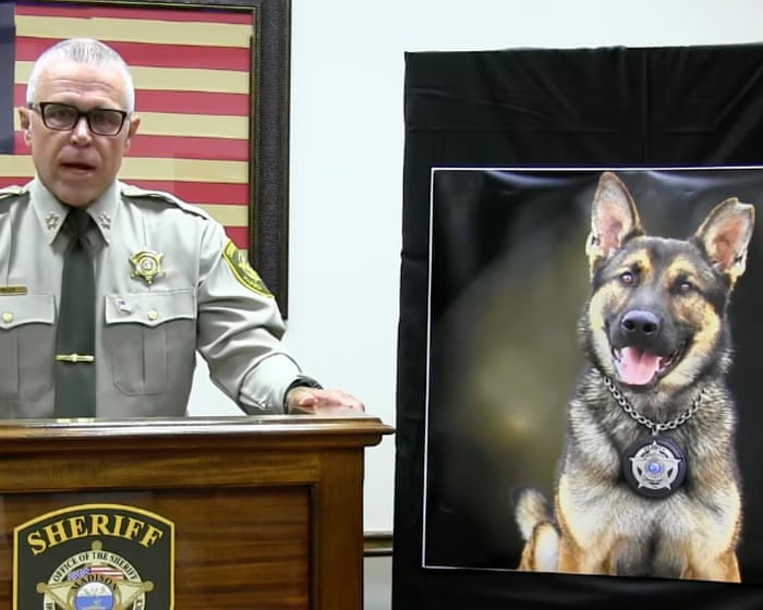 Death of Tenessee sheriff’s office canine leads to criminal investigation