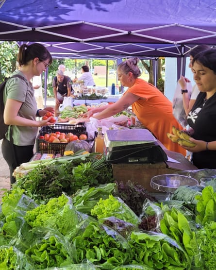 A stall with lettuce and vegetables