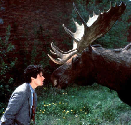 Picture of Rob Morrow's character Fleischman and a moose.
