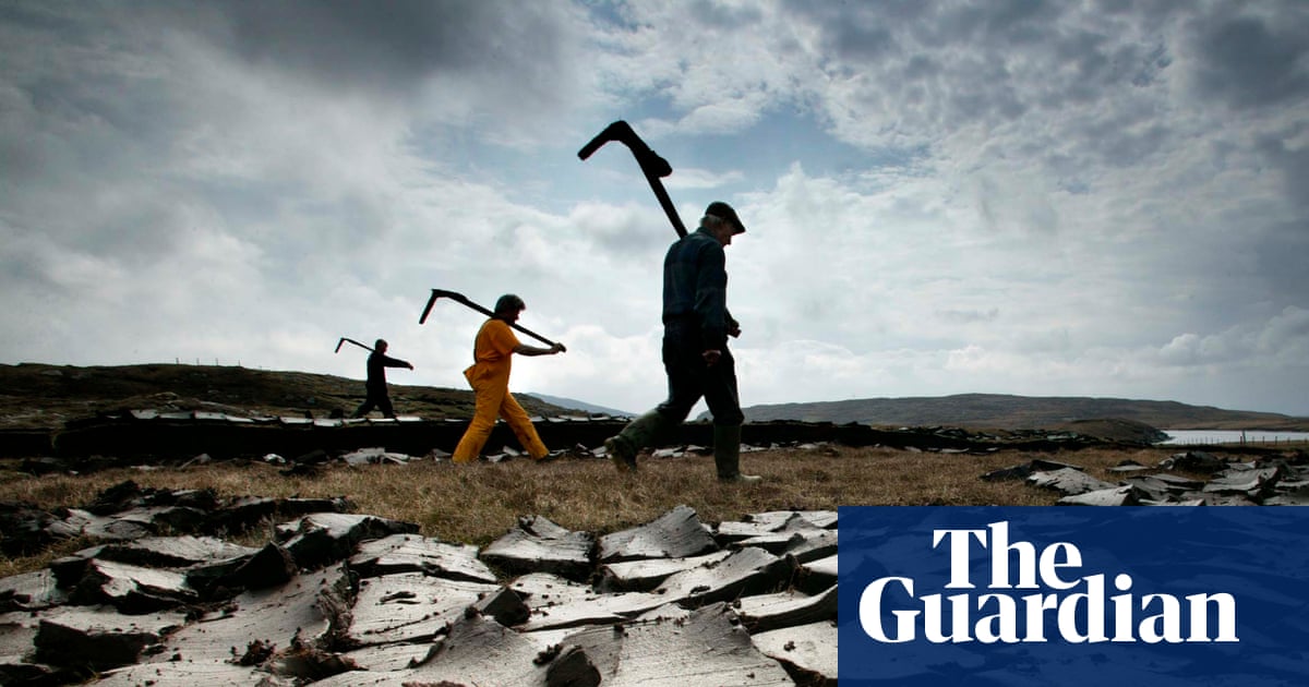 The battle over peat: why do some gardeners still insist on using it?