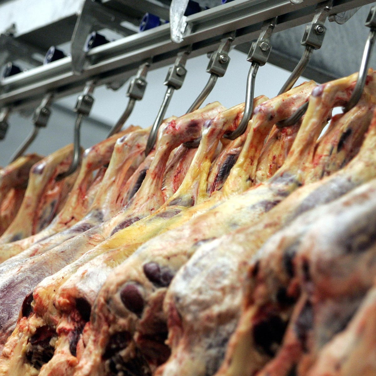Covid Cases At Uk Food Factories Could Be Over 30 Times Higher Than Reported Environment The Guardian