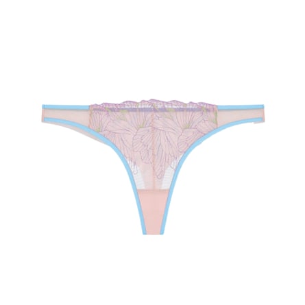 Dora Larsen echo butterfly embroidery knicker