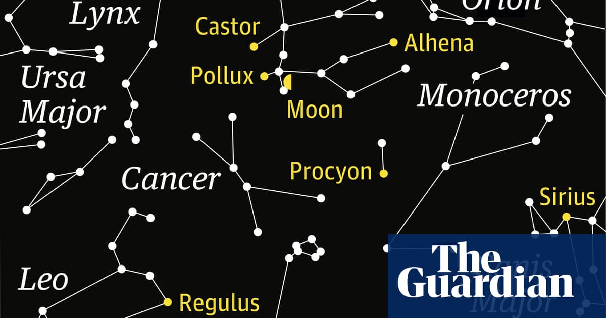 Starwatch: a close lunar encounter with Pollux