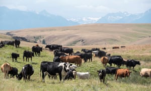 Both conservationists and ranchers have invested in a partnership staked on continuous improvement for the long haul.