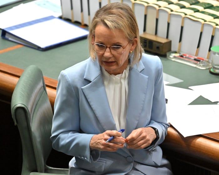 Australia politics live: Ley says she welcomes ‘contest of ideas’ amid Liberal infighting; judges to rule on Palestine protest