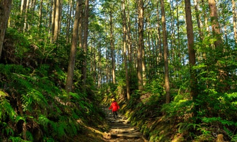 Woman in red coat, trekking in the Kumano Kodo forest, Japan