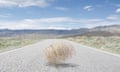 Empty road with tumbleweed