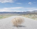 Empty road with tumbleweed