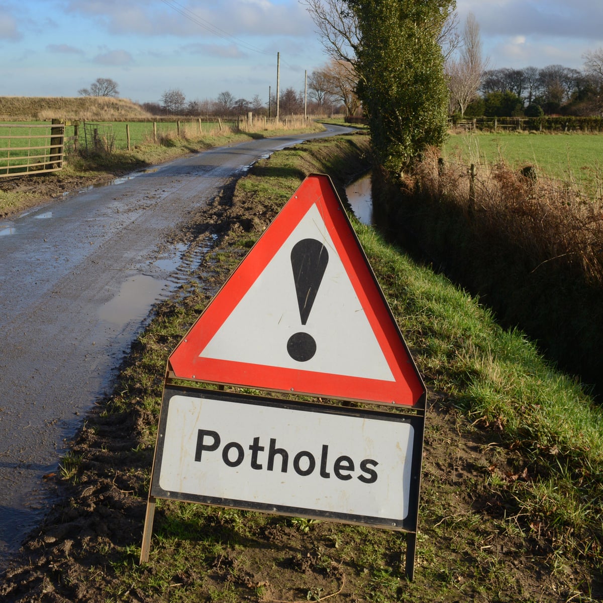 What S Behind A Phobia Of Holes Science The Guardian What S Behind A Phobia Of Holes Science The Guardian