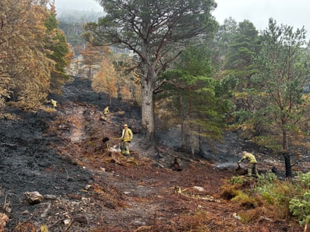 Firefighters at work on a fire-damaged hillside