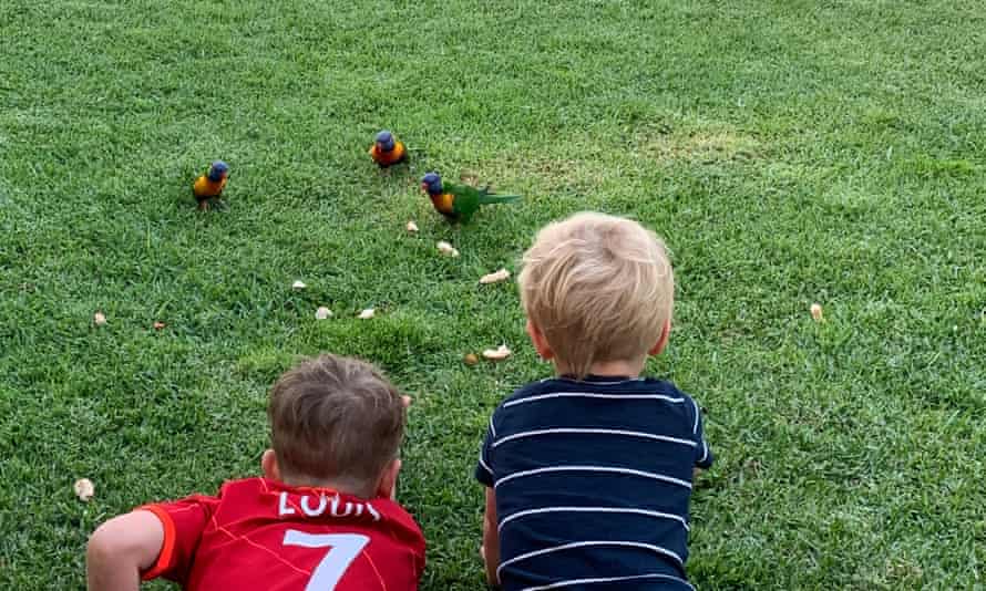 Louis, sept ans, et Max, trois ans, avec des loriquets arc-en-ciel sur leur pelouse.