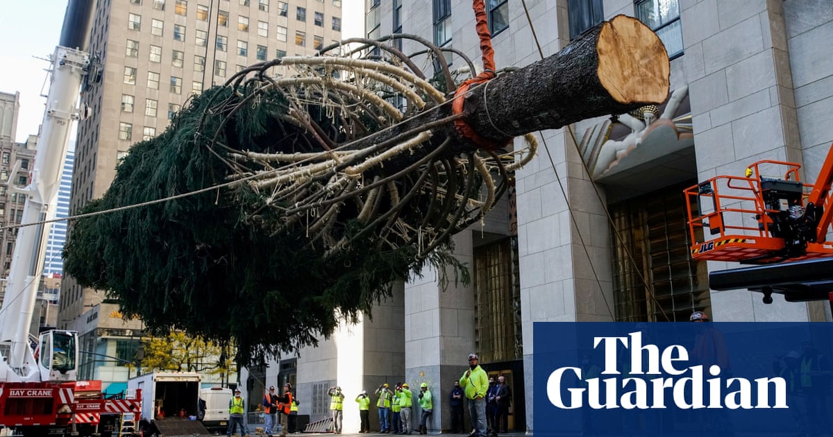 ‘Christmas will not be cancelled’ despite tree shortage fears, Americans told