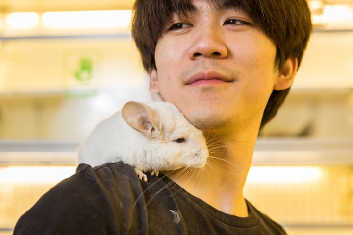 Chinchilla / د جنوبى امريكې يو حيوان چه خړبرپښيندو نكى پاسته ويښتان لرى