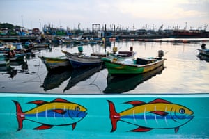 Boats moored in a harbour behind a turquoise plank with two brightly coloured fish painted on it