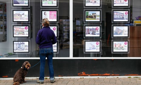 A young woman looks in an estate agent's window while her dog, next to her, looks back towards the camera