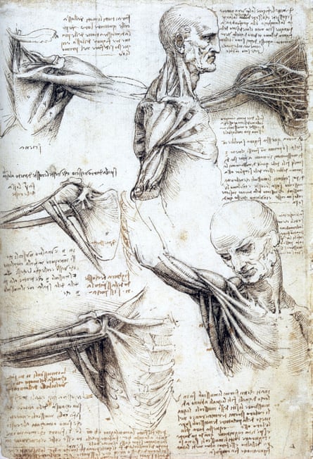 Leonardo da Vinci’s anatomical analysis of the movements of the shoulder and the neck