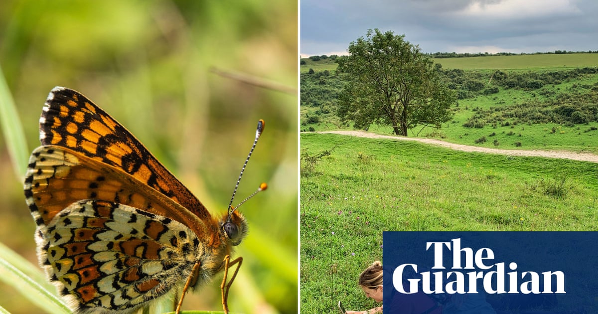 Gaslit, shamed and swindled: the play about Eleanor Glanville, persecuted for her love of butterflies