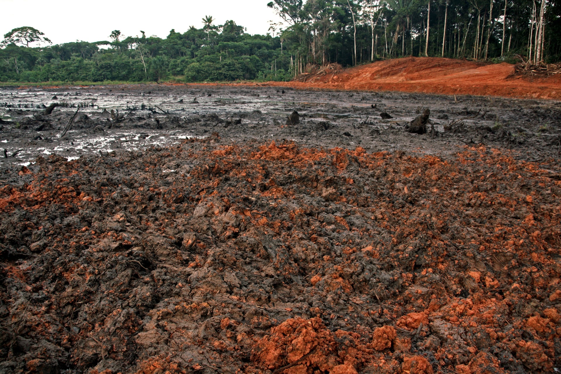 The remains of Lake Ushpayacu in Lot 1-AB, run by Occidental until 2000 when Pluspetrol took over. Photograph: FEDIQUEP