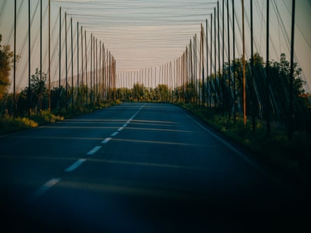 Roads covered with anti-drone nets in Sumy region.