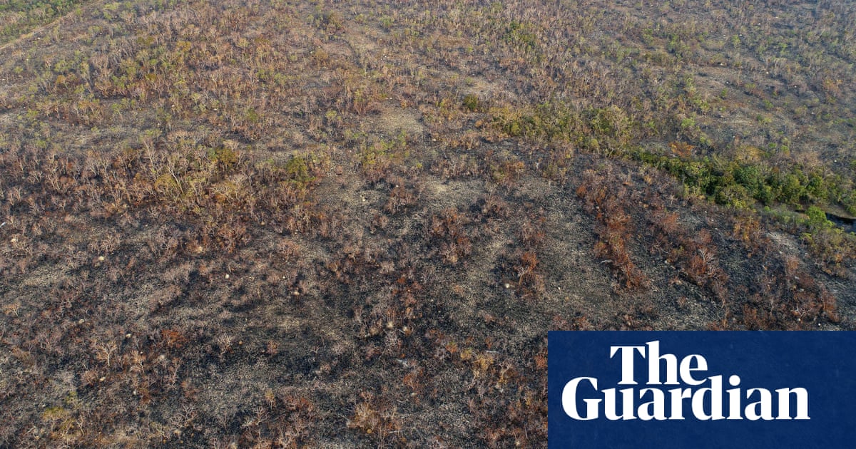 Jair Bolsonaro claims NGOs behind Amazon forest fire surge – but provides no evidence