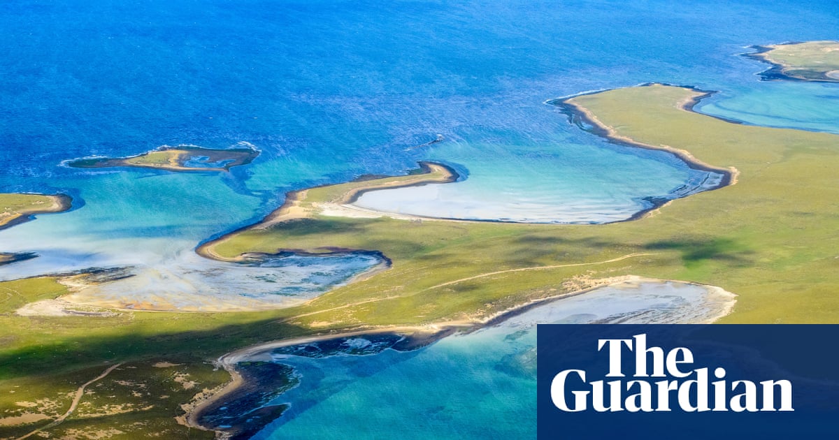 Falkland Islanders call for referendum on plans for massive salmon farm