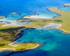Falkland Islanders call for referendum on plans for massive salmon farm