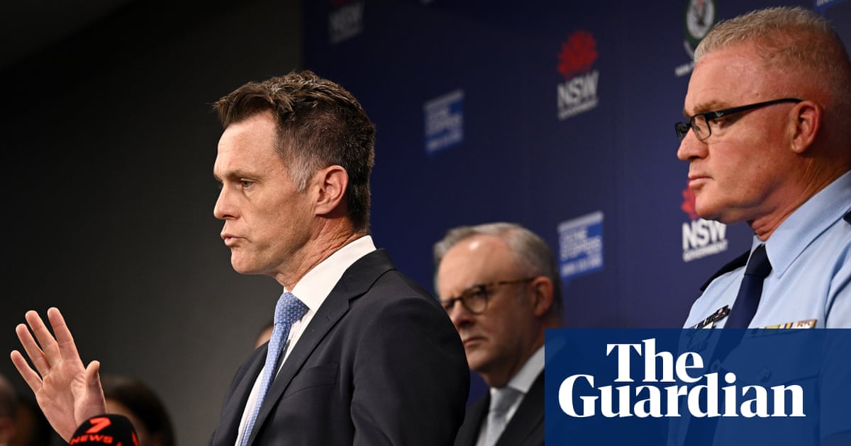 ‘They were shot in the front’: premier and top cop defend police response to Bondi terror attack