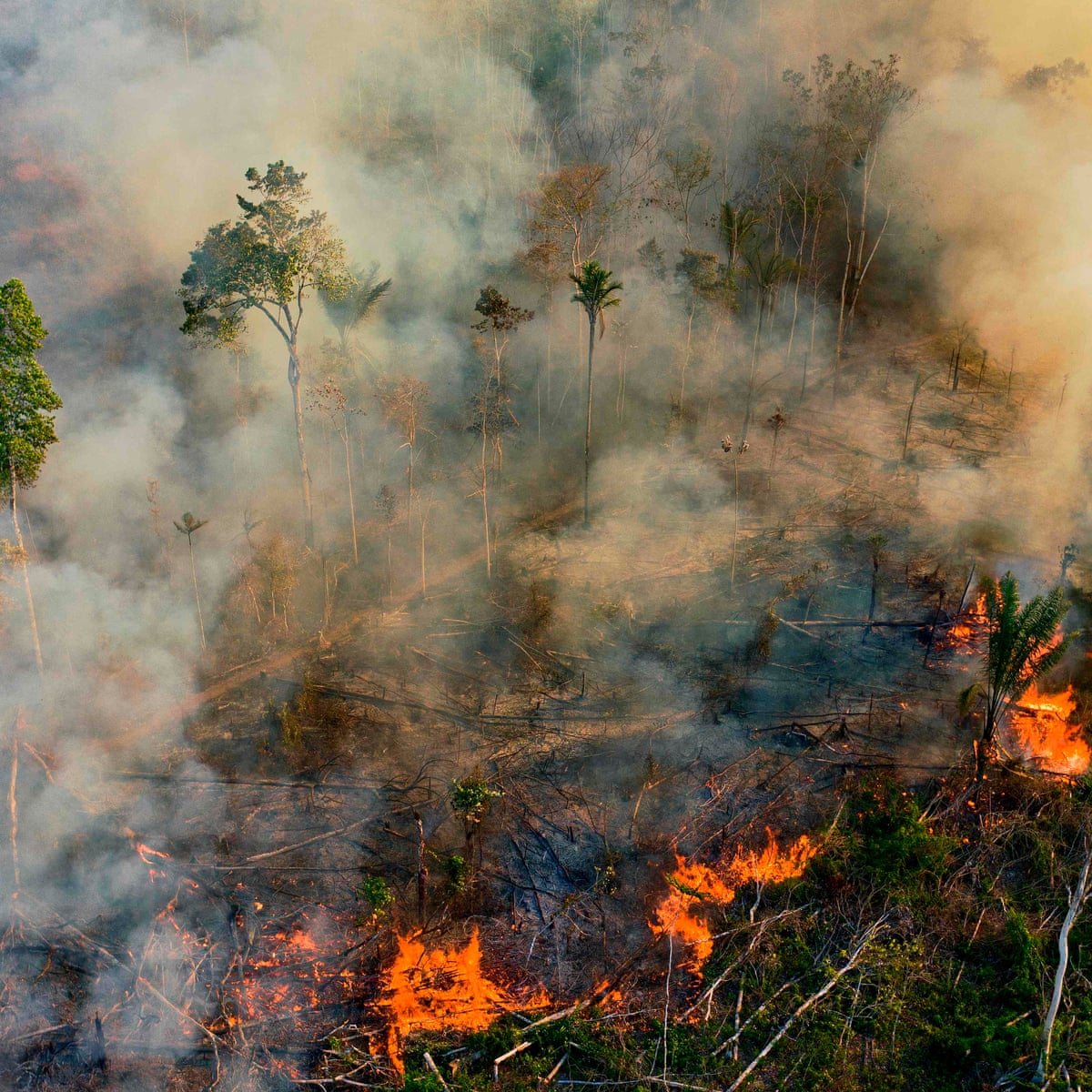 Brazil S Amazon Rainforest Suffers Worst Fires In A Decade Amazon Rainforest The Guardian