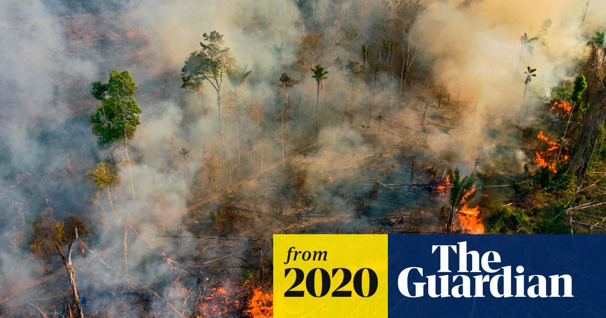 Brazil's Amazon rainforest suffers worst fires in a decade