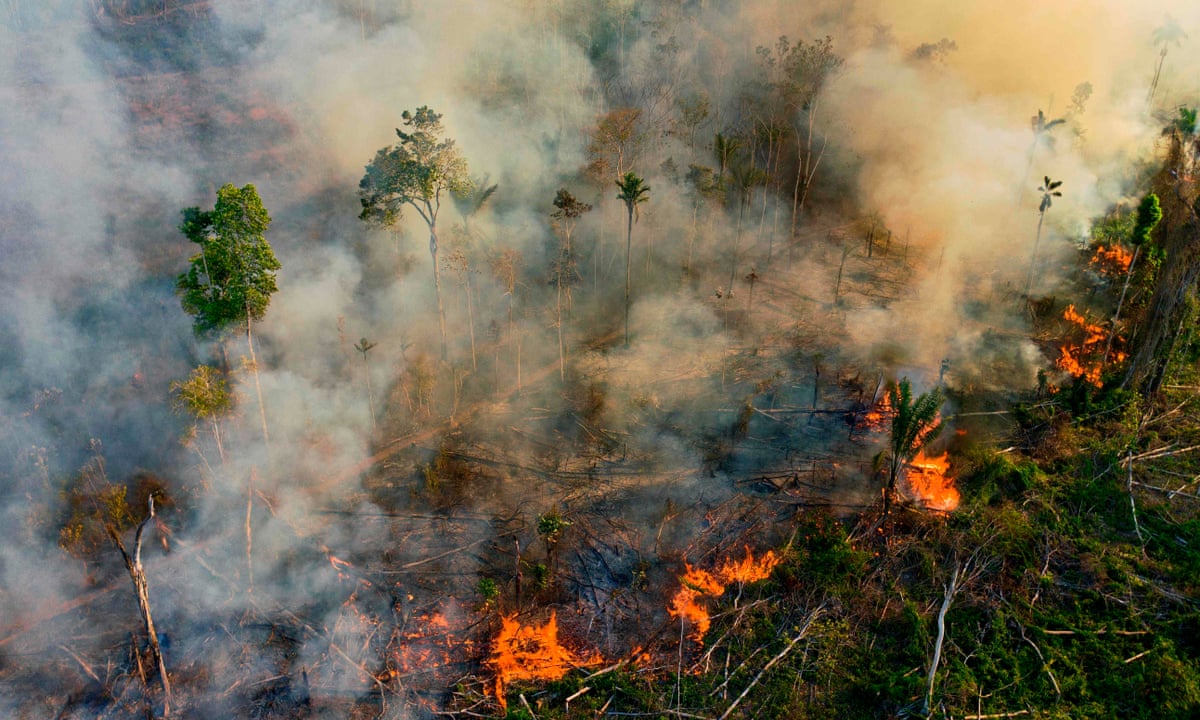 Brazil S Amazon Rainforest Suffers Worst Fires In A Decade Amazon Rainforest The Guardian Brazil S Amazon Rainforest Suffers Worst Fires In A Decade Amazon Rainforest The Guardian