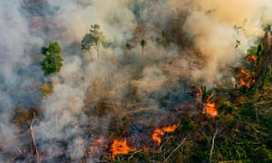 Smoke and flames rise from an illegally lit fire in an Amazon rainforest reserve, south of Novo Progresso in Para State, Brazil, in August.