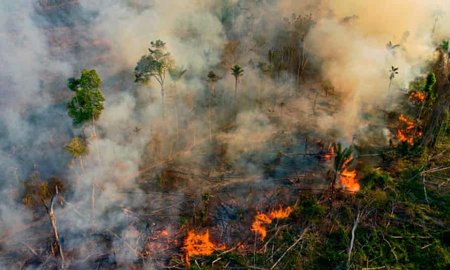 Brazil S Amazon Rainforest Suffers Worst Fires In A Decade Amazon Rainforest The Guardian Brazil S Amazon Rainforest Suffers Worst Fires In A Decade Amazon Rainforest The Guardian