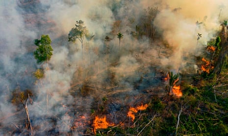 Smoke and flames rise from an illegally lit fire in an Amazon rainforest reserve, south of Novo Progresso in Para State, Brazil, in August.