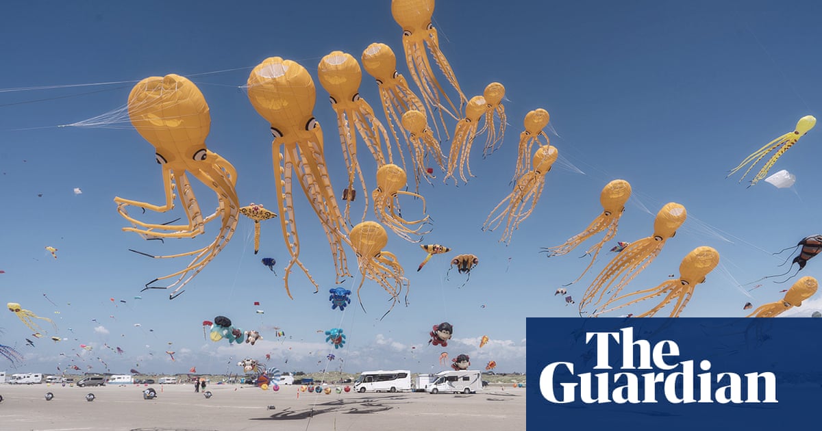 Take your pic! Sony world photography open award winners in pictures