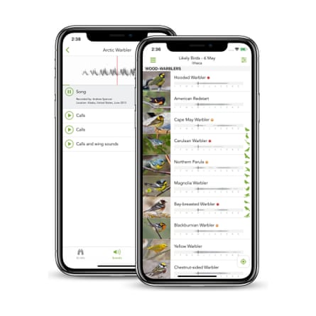 Smartphone showing the Merlin Bird ID App.