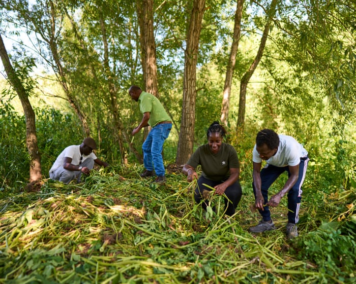 ‘We plant belonging’: how nature charities and asylum seekers work together in UK countryside