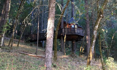 The Treehouse Paradise B&amp;B, Cave Junction, Oregon.