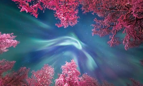 Astronomy Photographer of the Year 2017 shortlist - in pictures