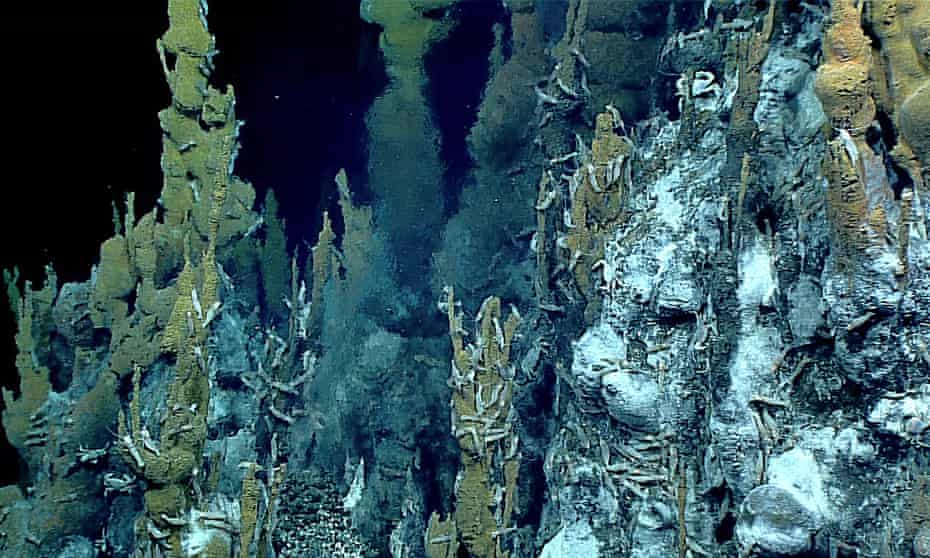A hydrothermal-vent chimney, with what appears to be dark smoke issuing from it