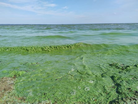 Photo of Lough Neagh at Ballyronan
