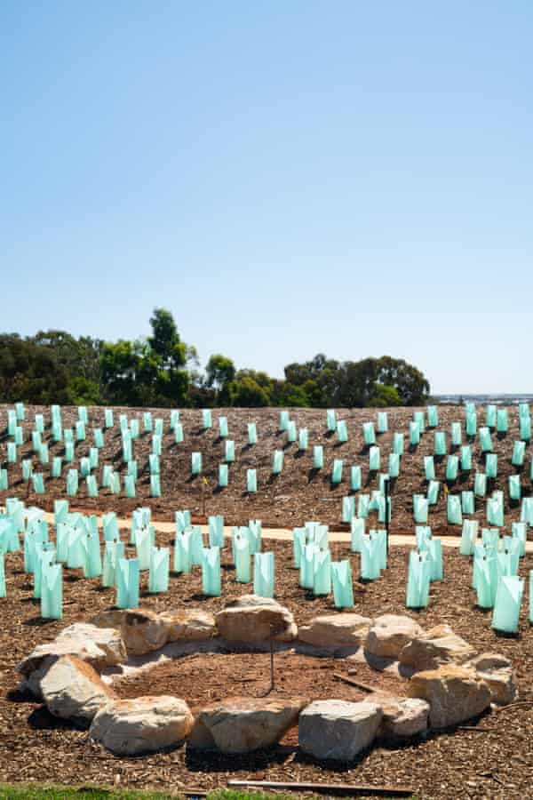 TravelGuides - ‘It brings dignity to every one of them’: inside the reburial of Indigenous bones and restless spirits | Indigenous Australians 6 The Kaurna people will establish a sorry camp at Smithfield Memorial Park this weekend.