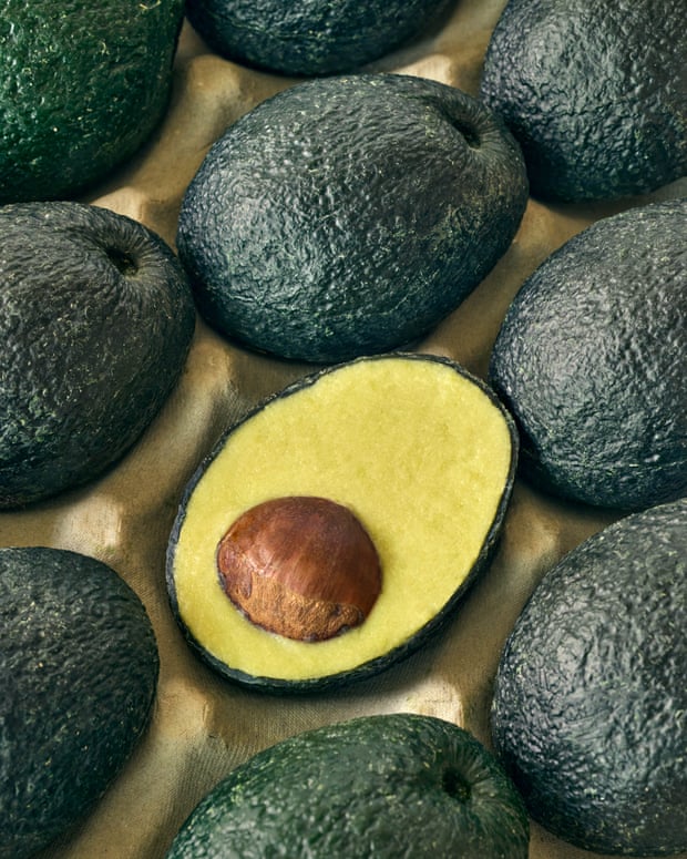 British avocado substitute the evocado