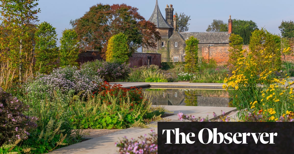 The UK is set to become increasingly hotter and drier for plants. Except Manchester | uk news The UK is set to become increasingly hotter and drier for plants. Except Manchester | uk news