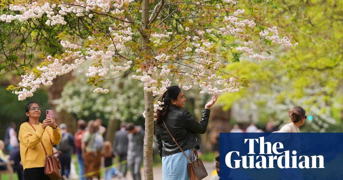 Spring flowers bloom in England after mix of hot and cold weather creates ideal conditions | UK weather Spring flowers bloom in England after mix of hot and cold weather creates ideal conditions | UK weather