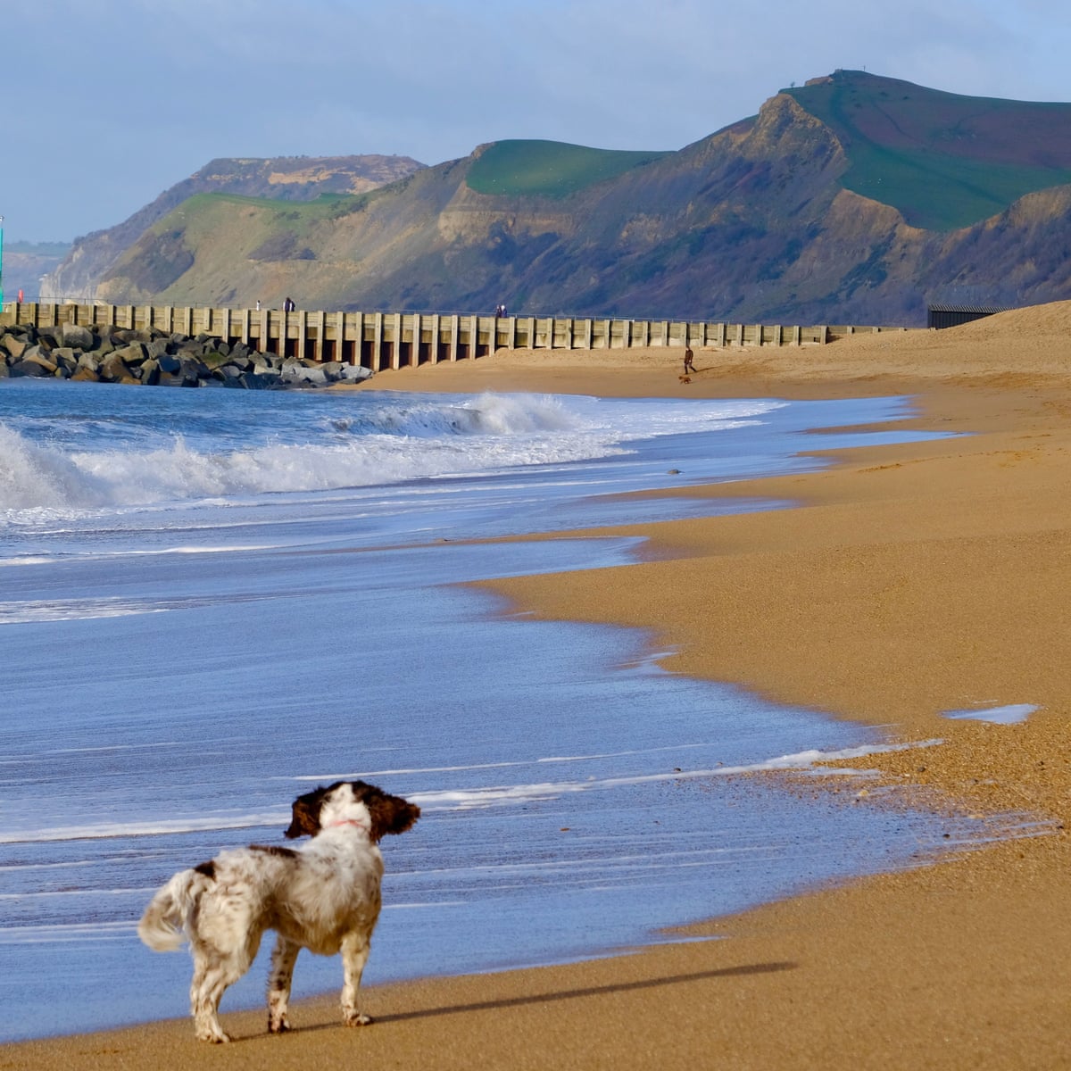 World S Beaches Disappearing Due To Climate Crisis Study