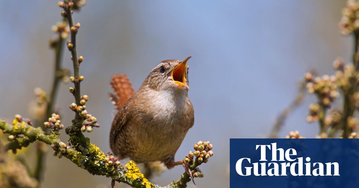 After coronavirus, focus on the climate emergency - The Guardian