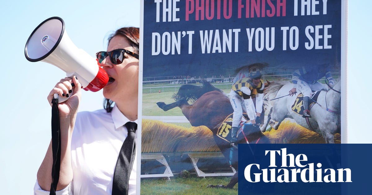 High court to hear bid to overturn New South Wales ‘ag-gag’ laws